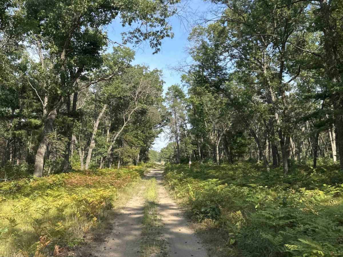 FS 3185 trail photo