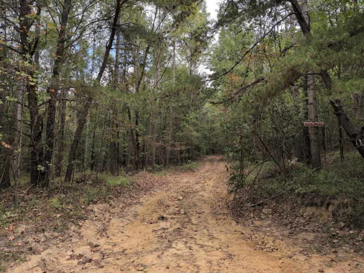 #29 Buck Pass photo 2