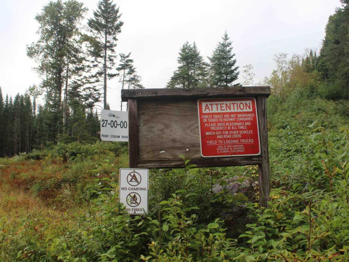 Perry Stream Road trail photo