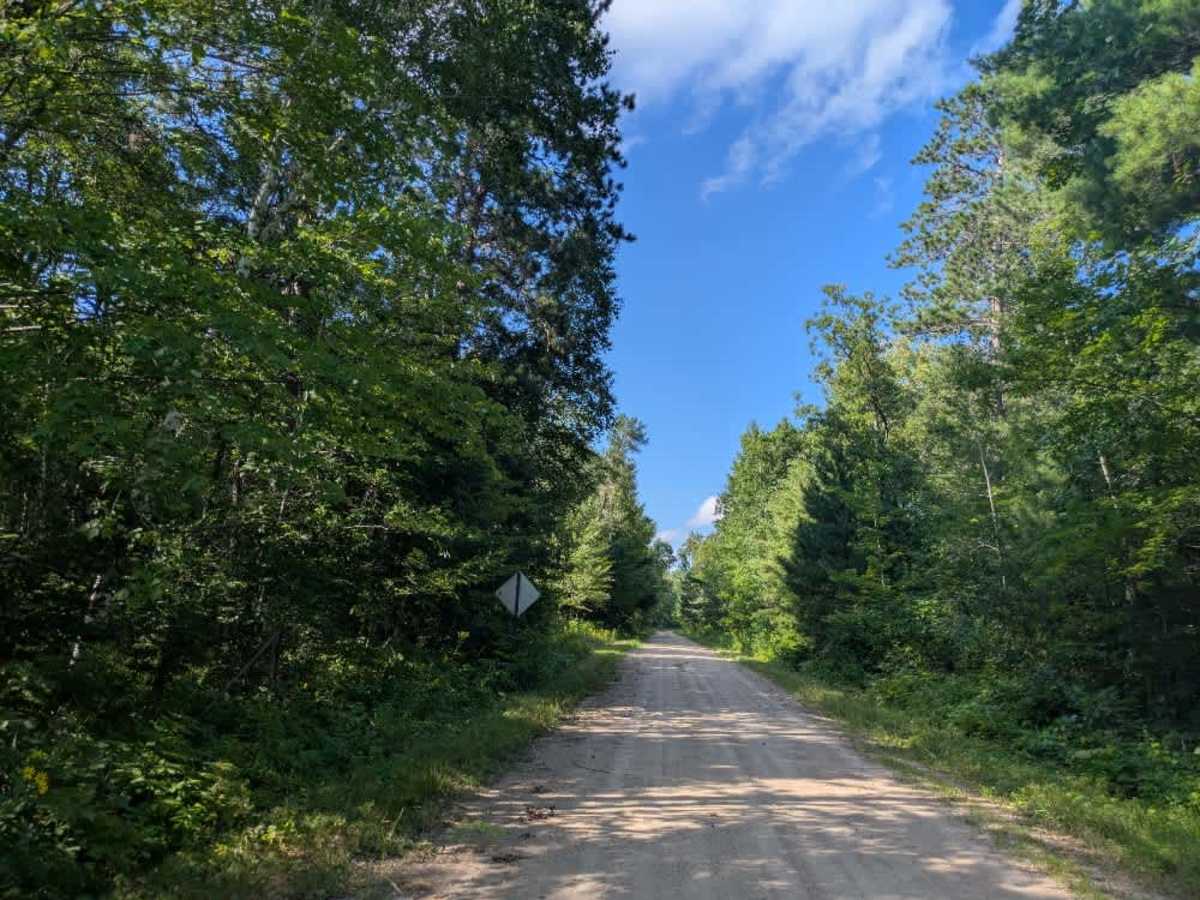2169 trail photo