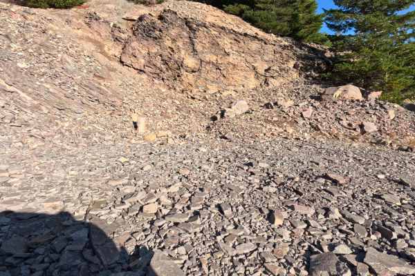 Dollar Quarry
