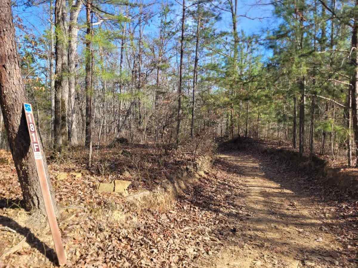 181-F trail photo