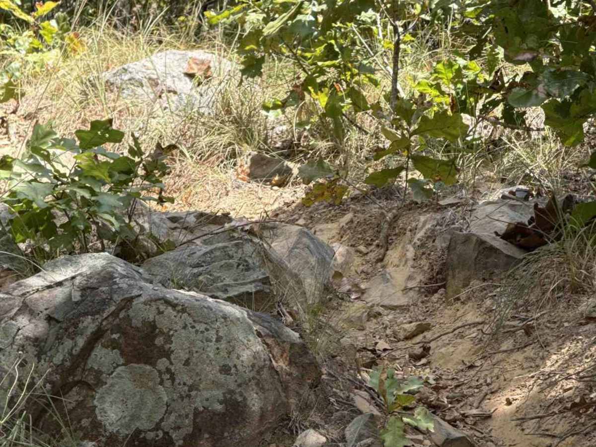 Maui's Hook trail photo
