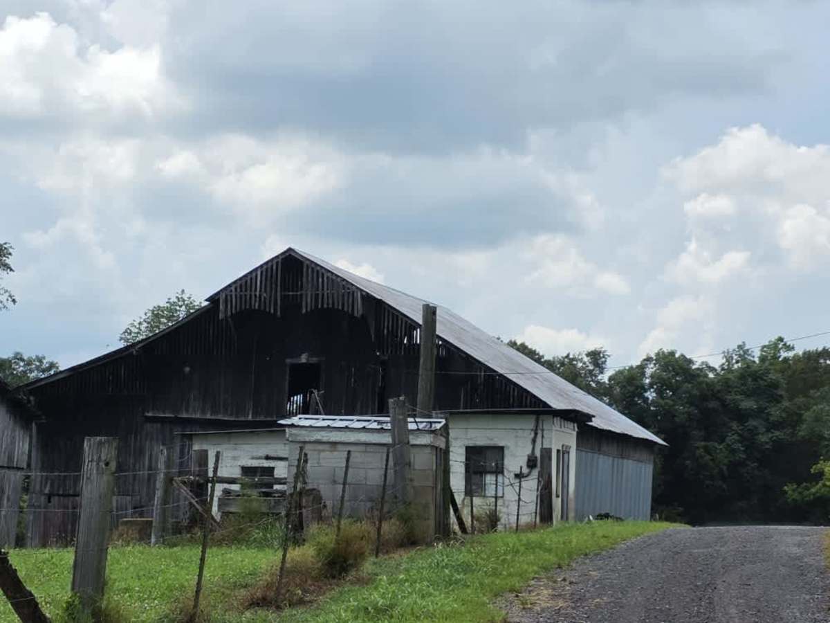 Beech Grove Road - Macon County Tour photo 6