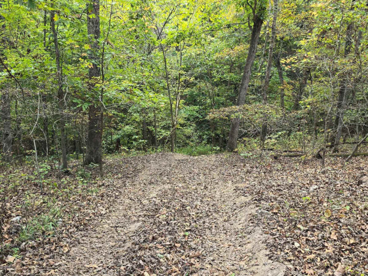 Hungover Trail photo 2