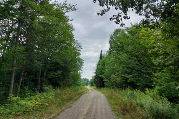 Bear Brook Road