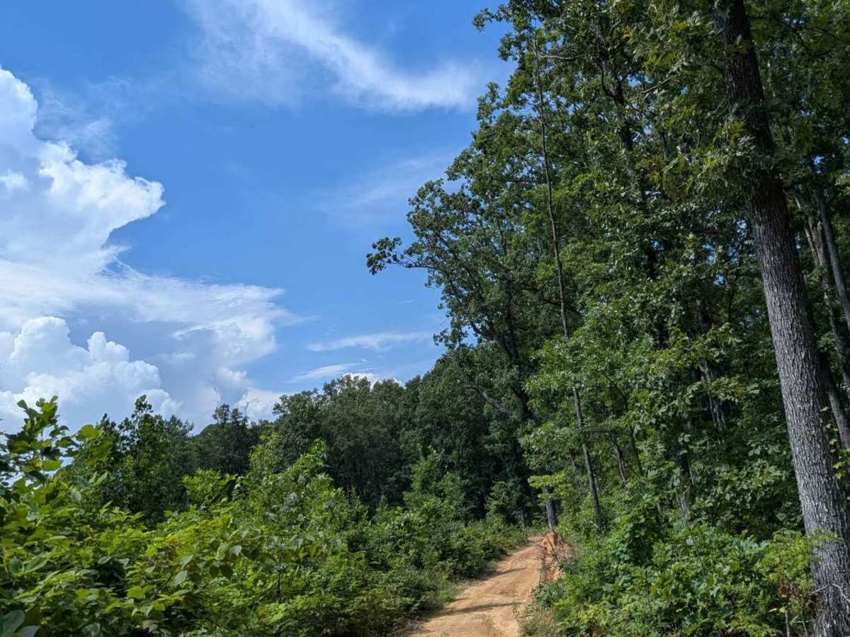 Hicks Gap Road photo 2