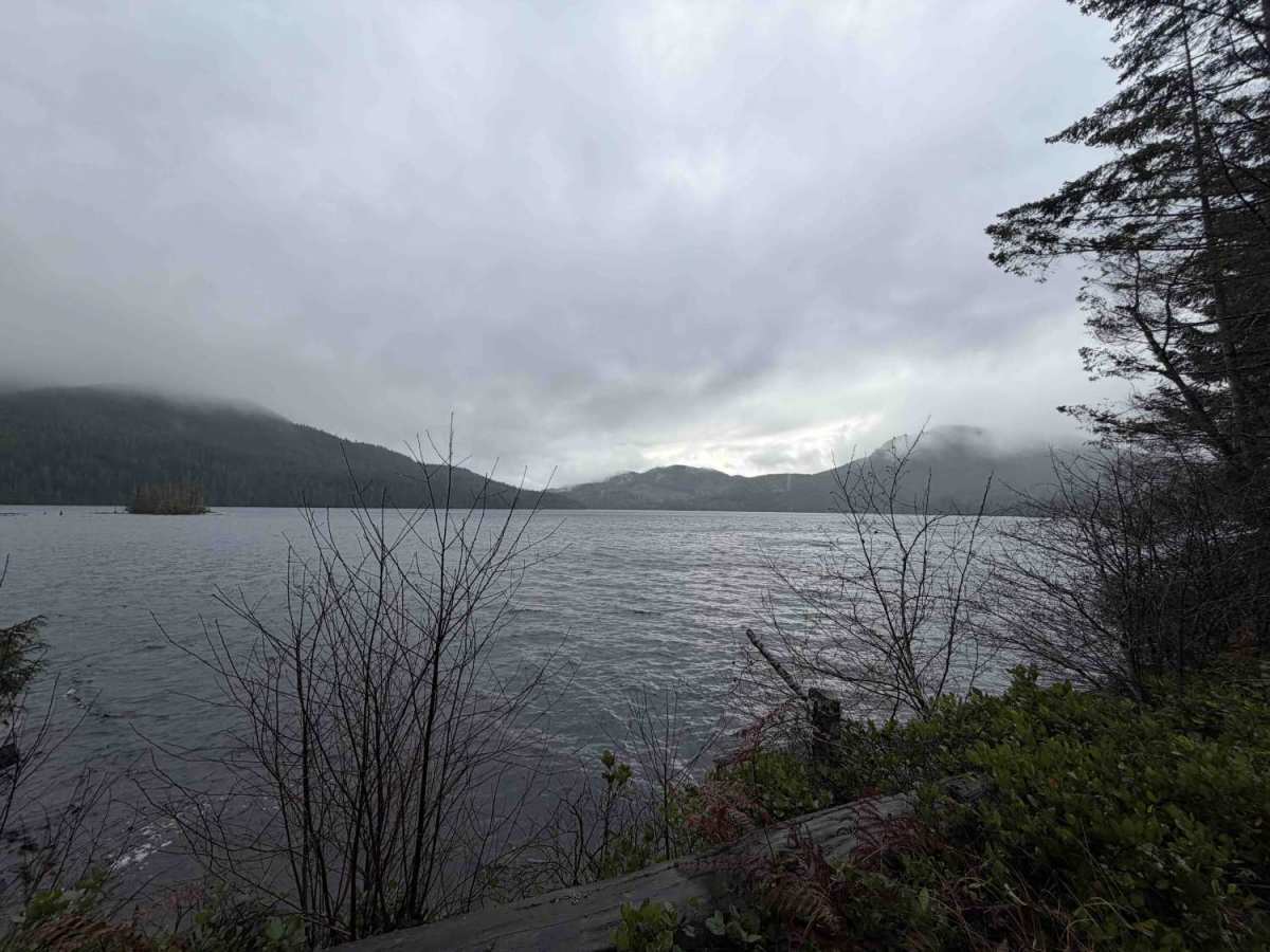 Pye Beach Recreation Site trail photo