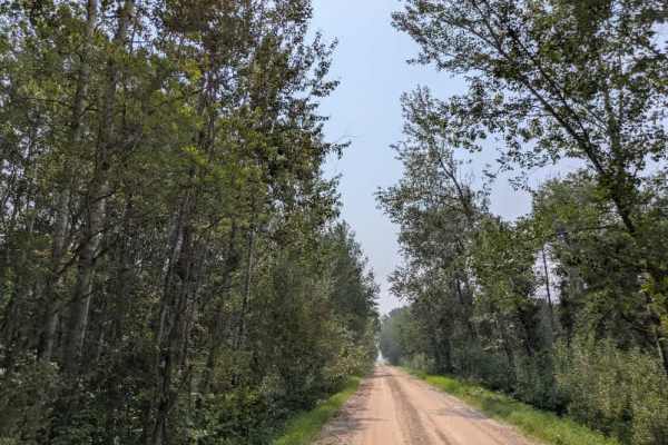 Jelle Road