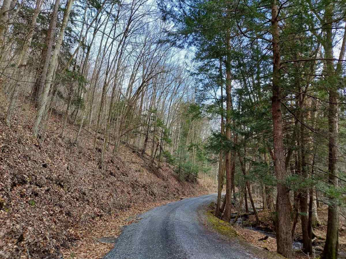 West Hicks Run Road photo 4