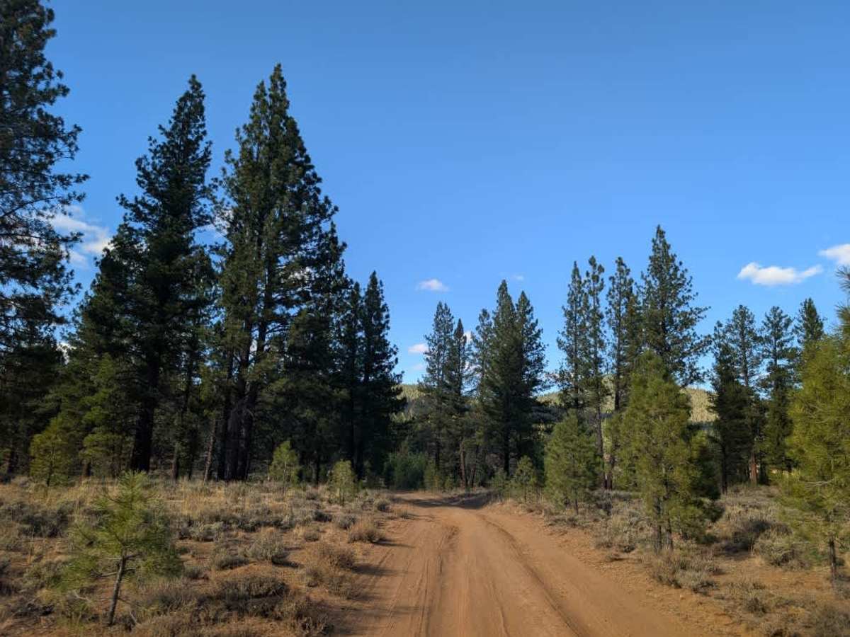 FS 33N06 trail photo