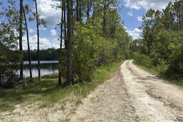 Woody Road Loop