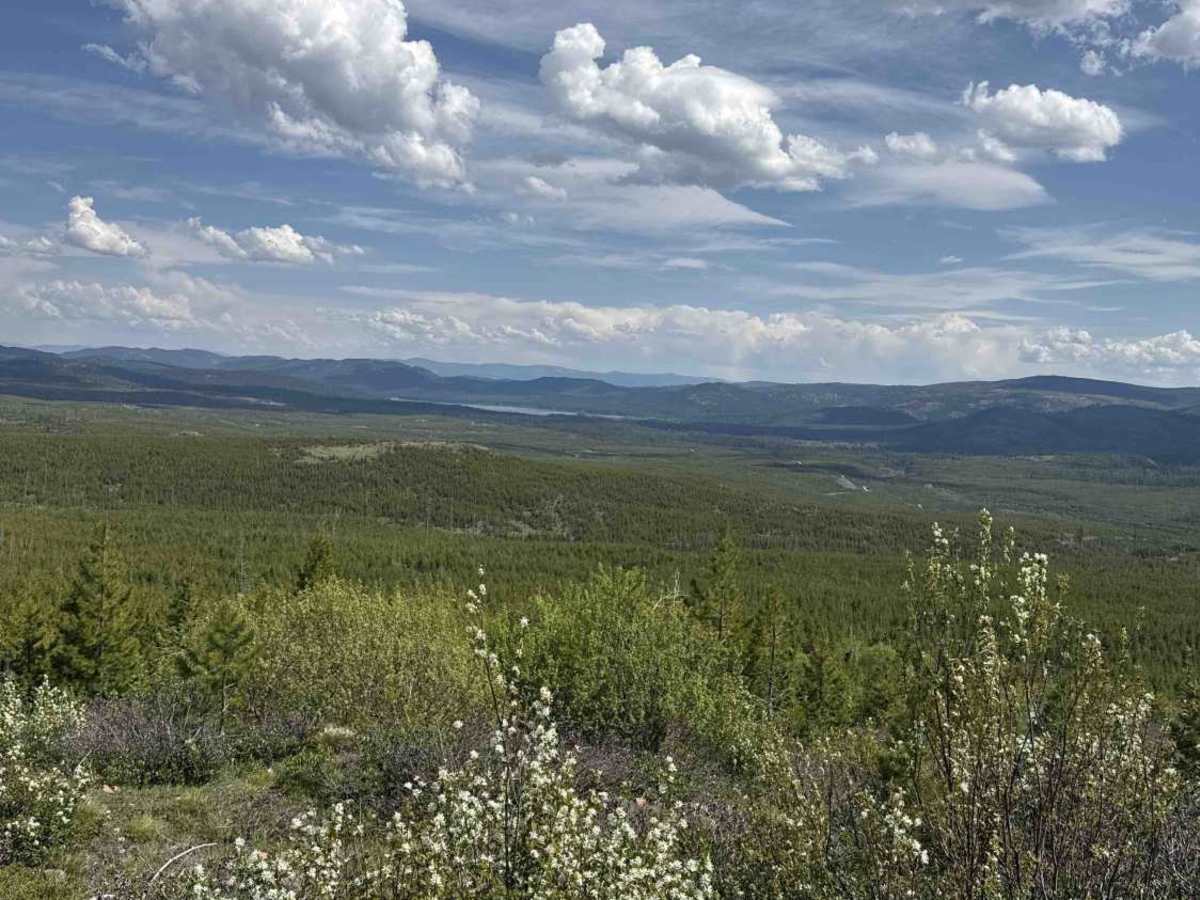 Fawn Peak  photo 3