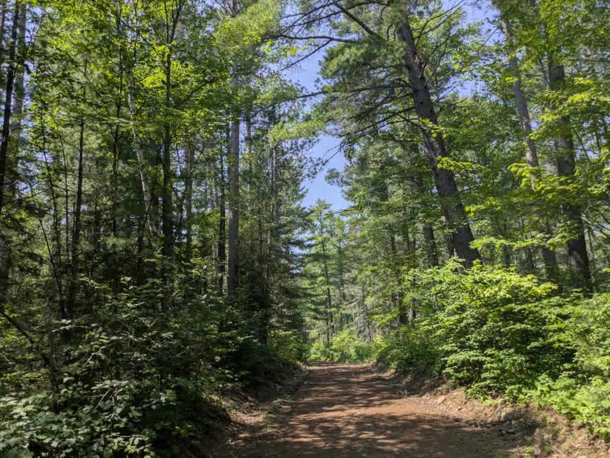 Trail 177E photo 4