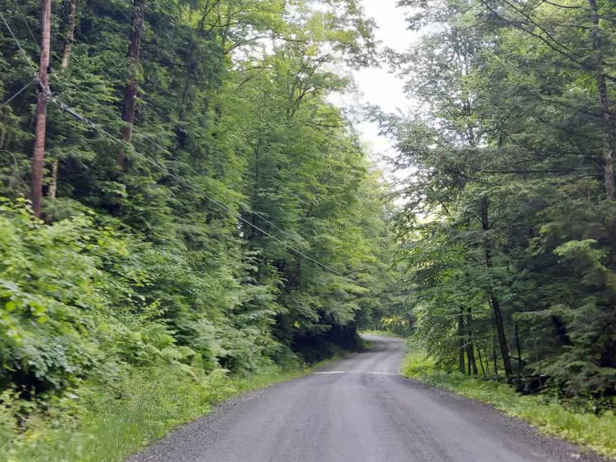 Bartlett Brook Road photo 2