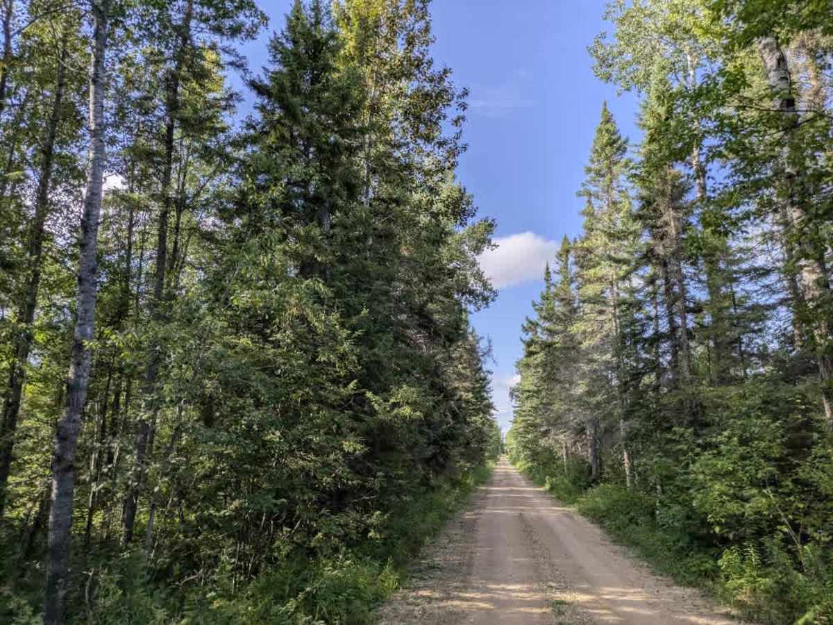 Ditch 10 trail photo