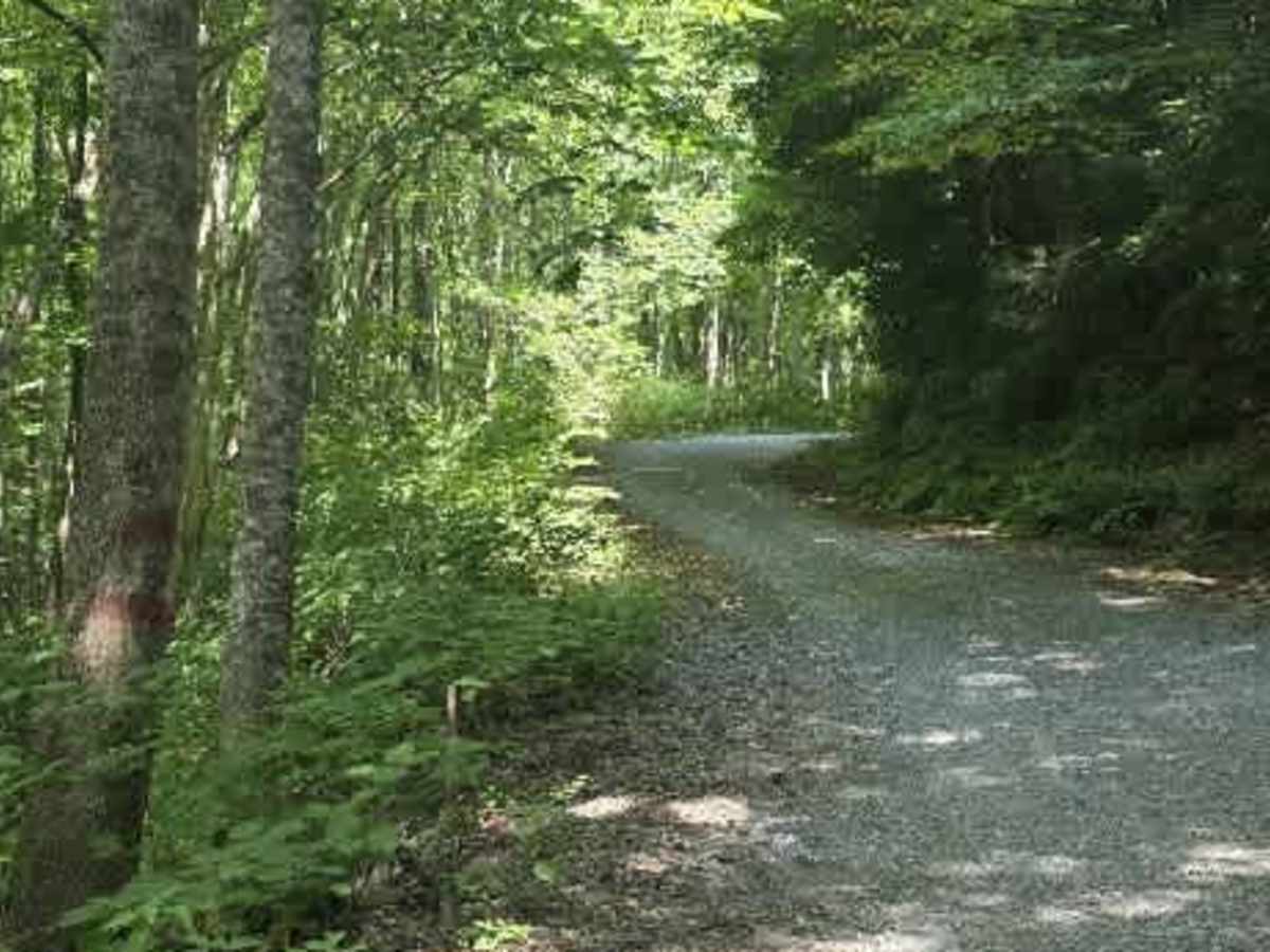 Middle Road trail photo