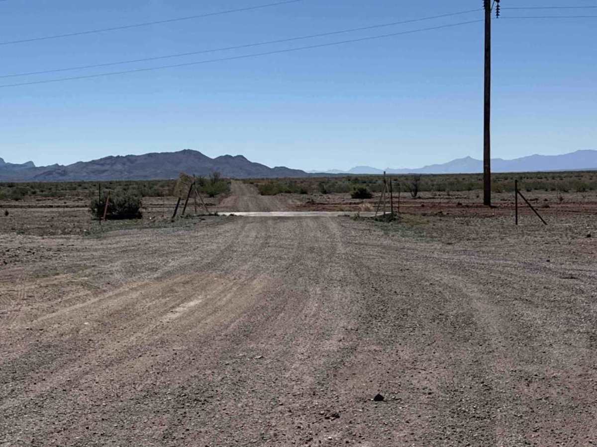 Ss1037 photo 3