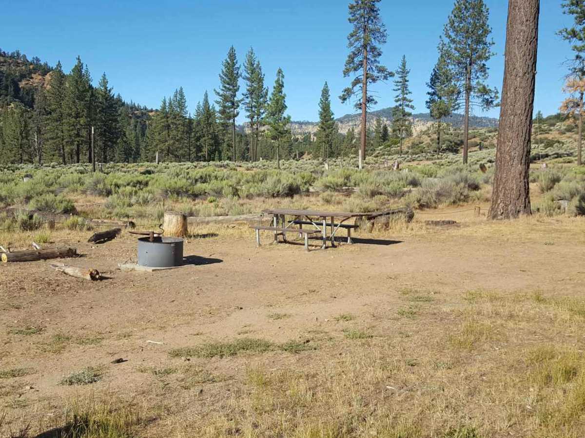 Halfmoon OHV Trail - FS 20W07 photo 5