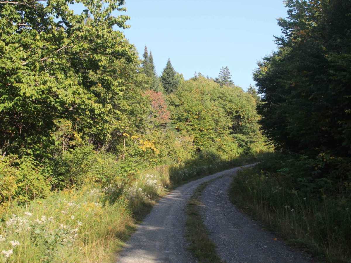 Stub Hill Road photo 3