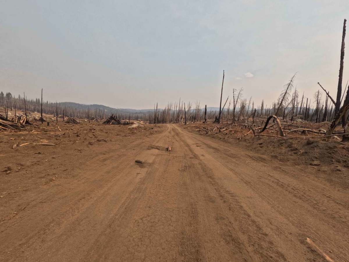 Lower Tamarack - FS 9s026 photo 4