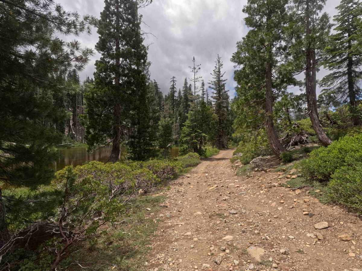 Bonanza King Lookout - FS 38N85 photo 6