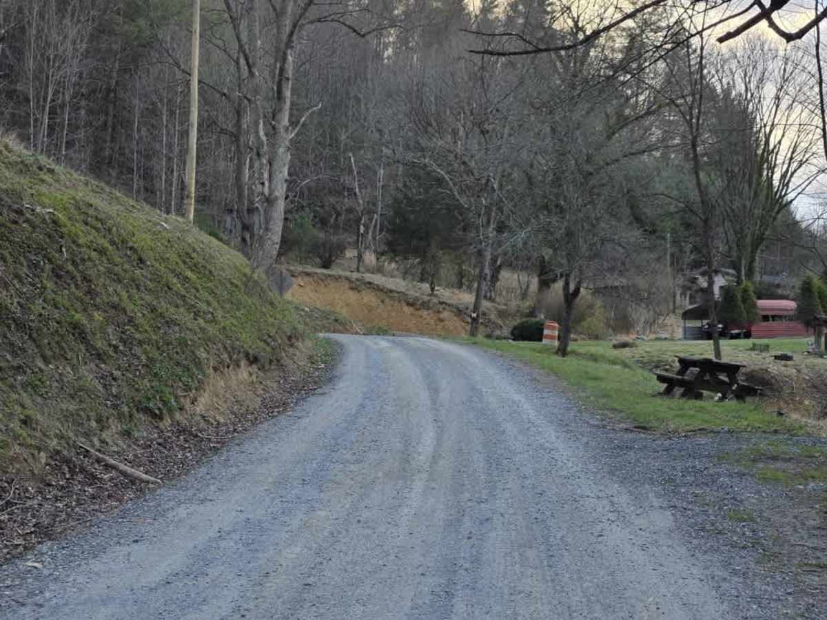 Sams Branch Road trail photo