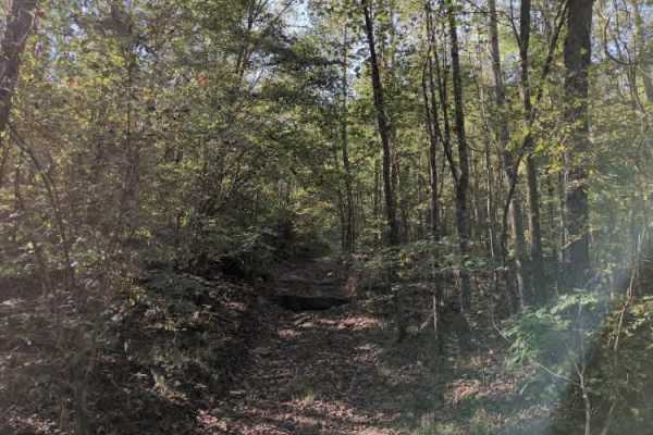 #102 Jake's Hill