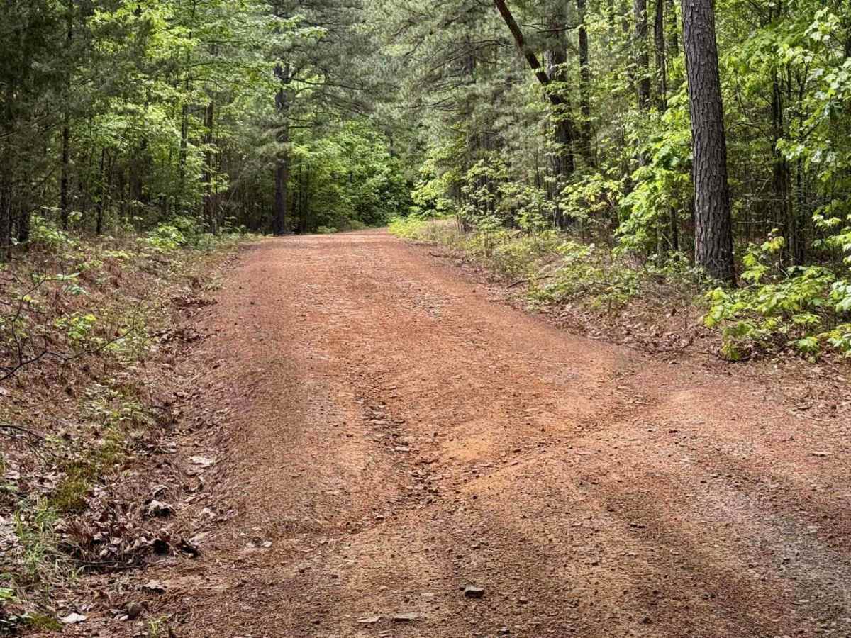 Apple Road trail photo