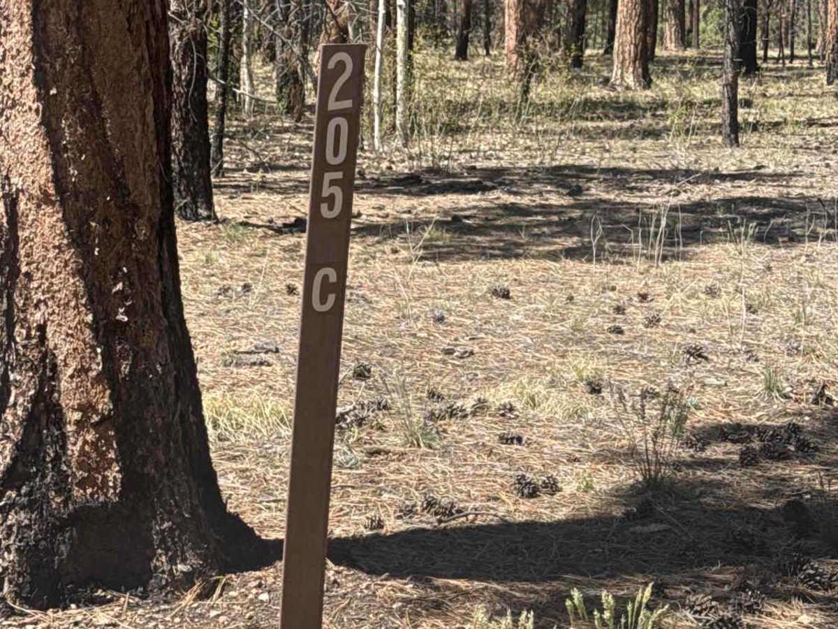 FS 205C trail photo