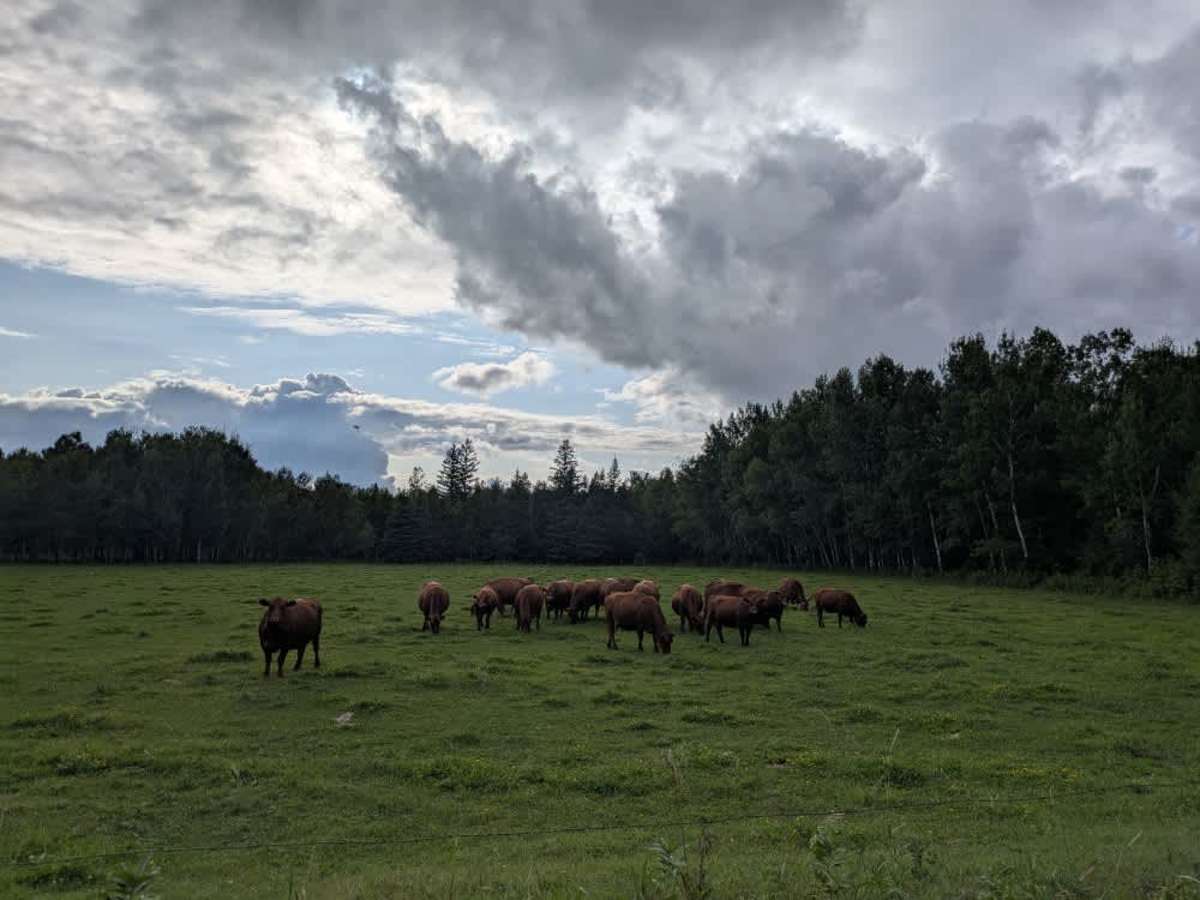 Powder Horn NW photo 3