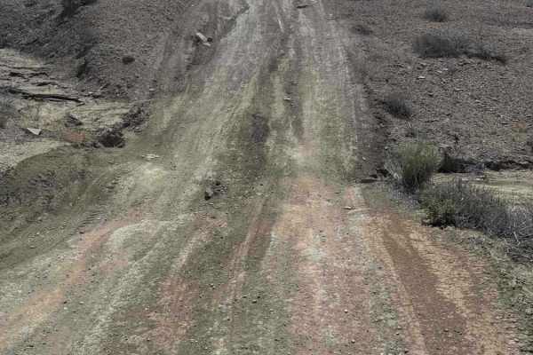 Alstrom Point Trail