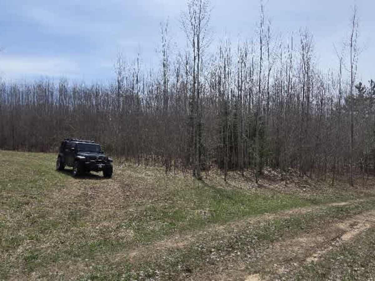 Holms Road Loop photo 5