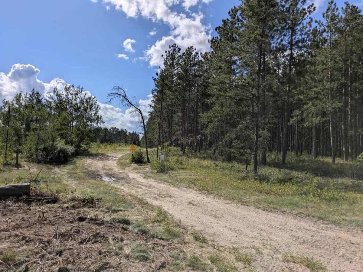 Root Forest Road photo 6