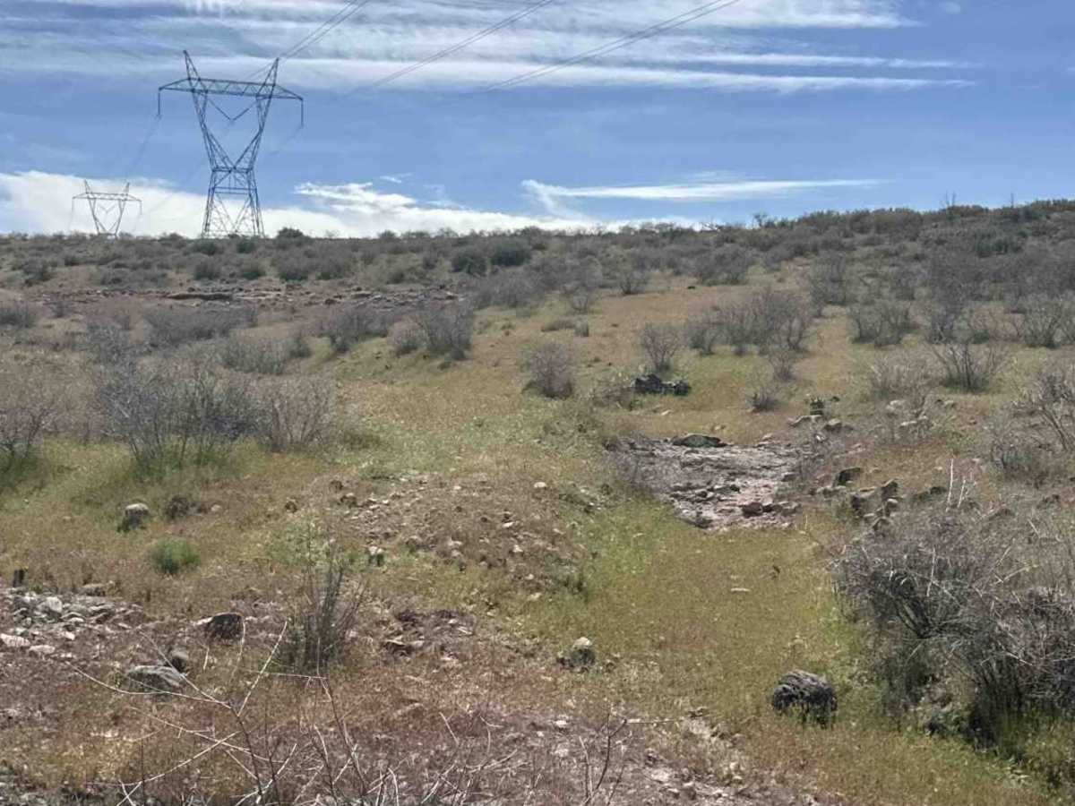 FS 1983 trail photo