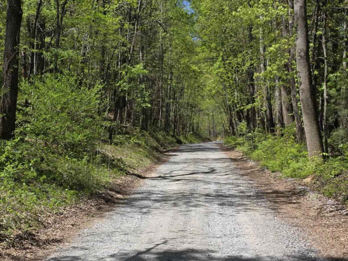 Panhandle Road photo 5