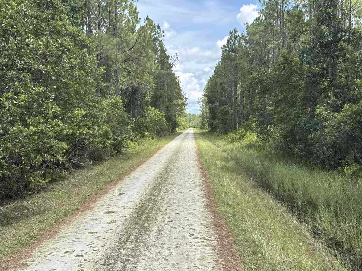 Gopher Ridge Road photo 4