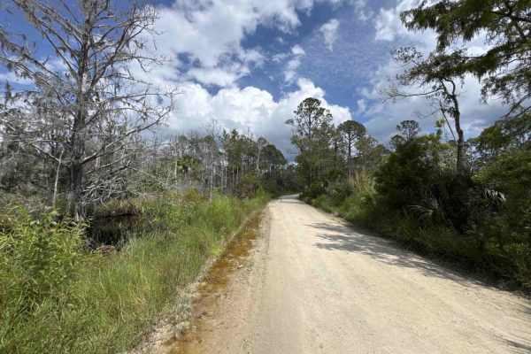 Homus Pond Road