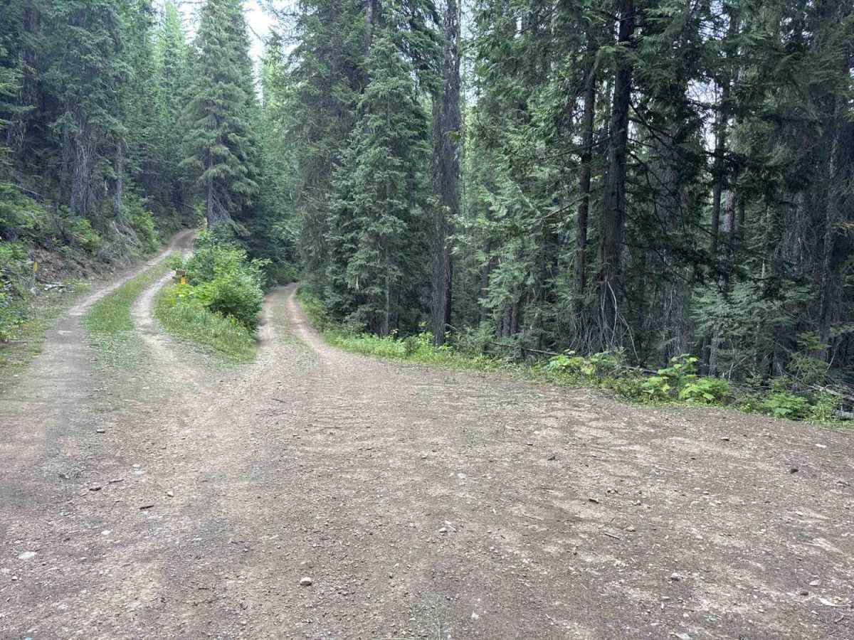4W-7736 - Big Flat Trail trail photo