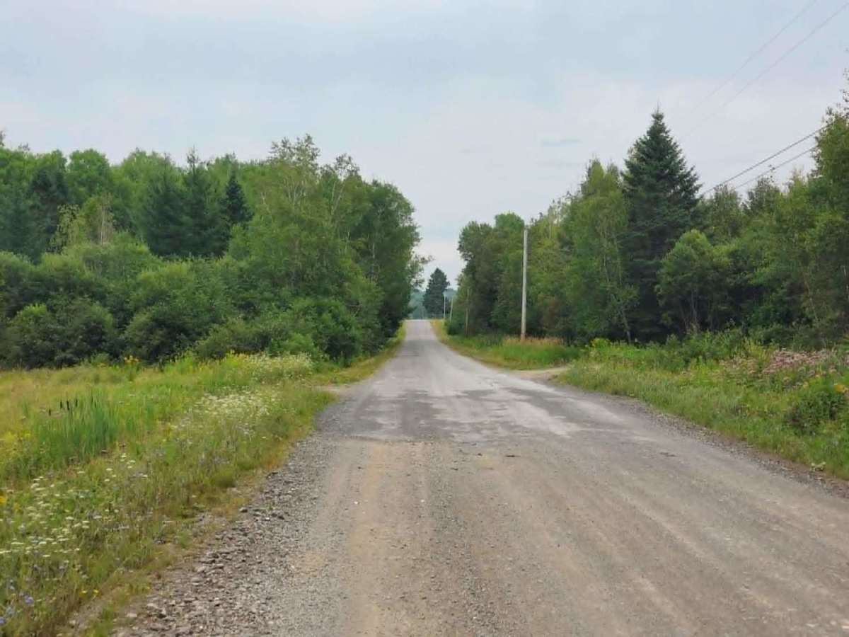 Hoyt Road photo 4