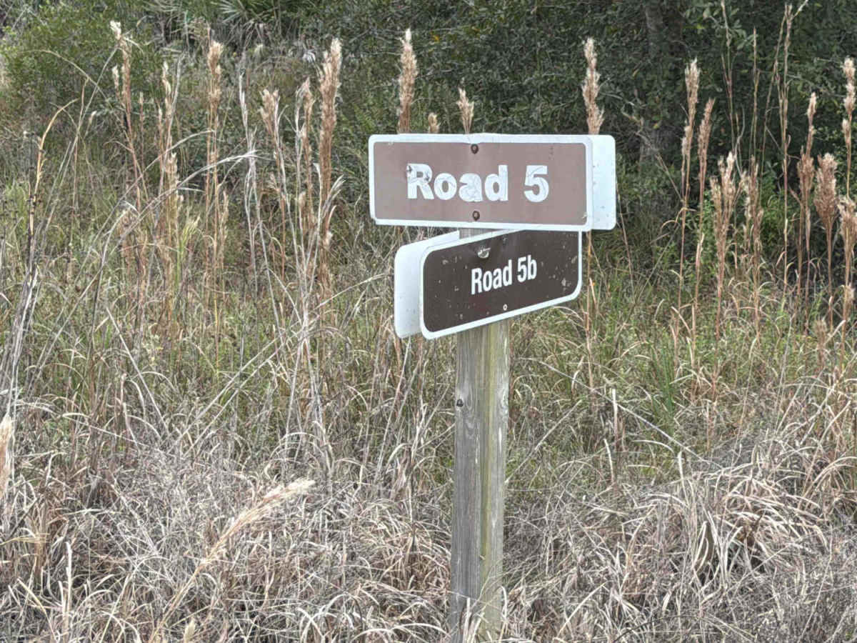 Road 5b - Three Lakes WMA trail photo