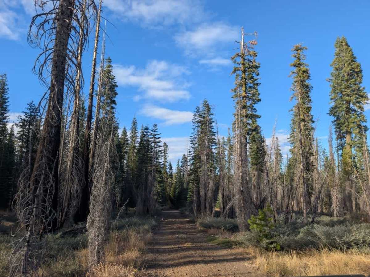 FS 30N33 trail photo