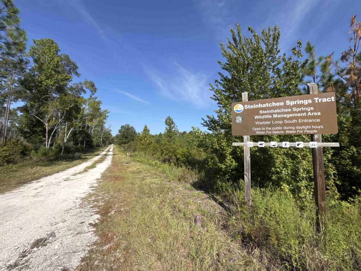 Warbler Loop South photo 4