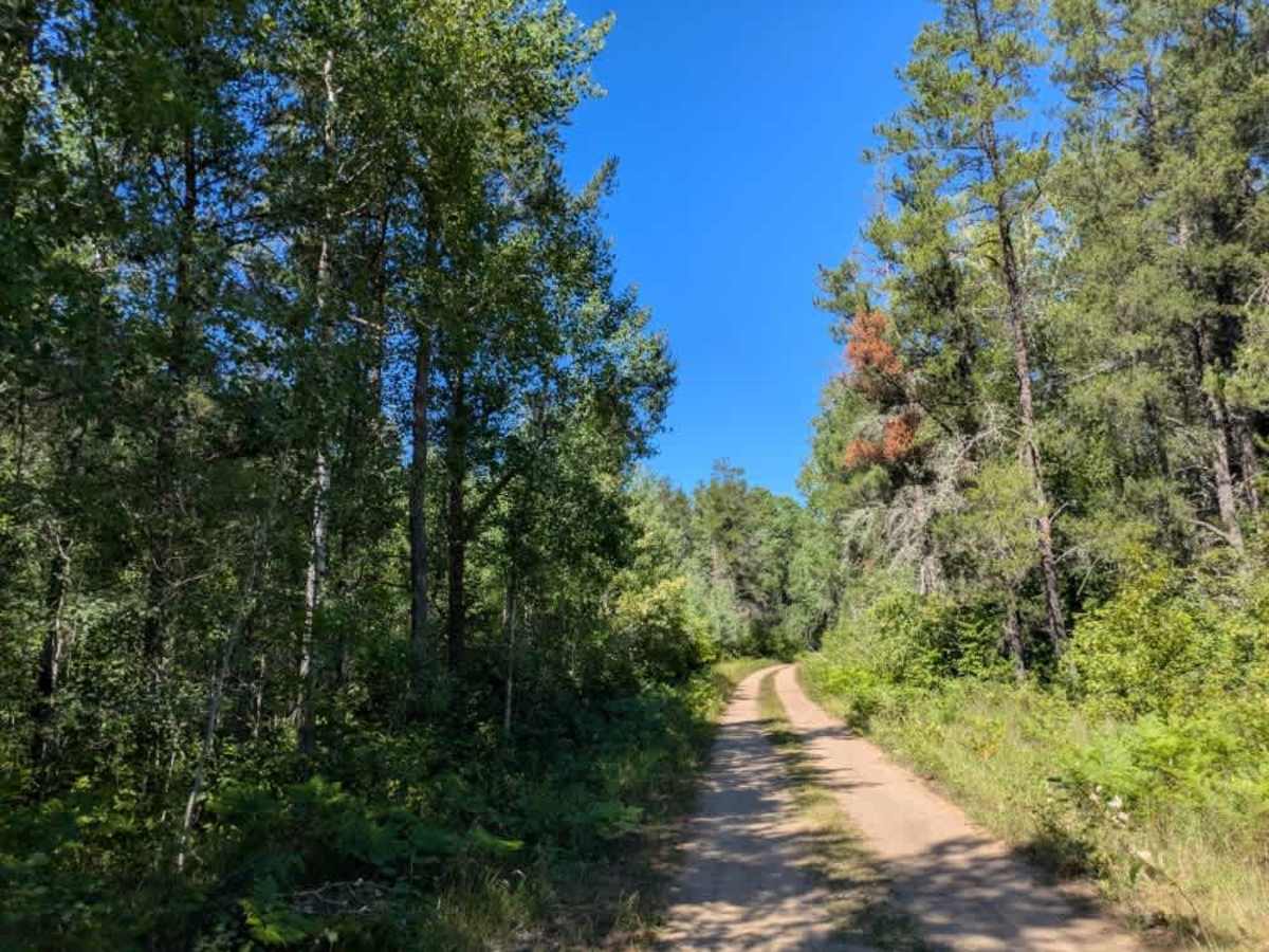 Swartz Forest Road photo 6