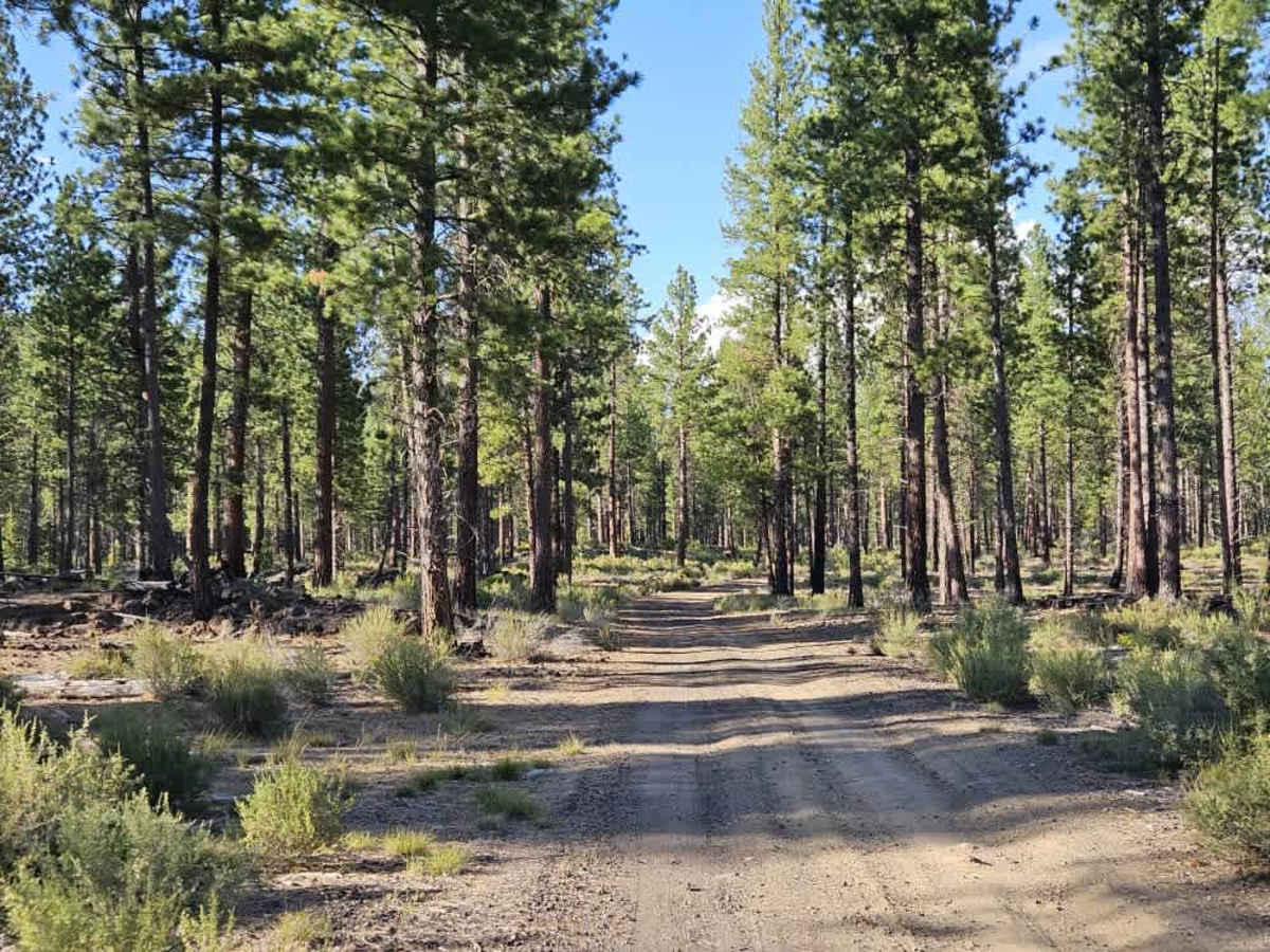 FS 4220400 trail photo
