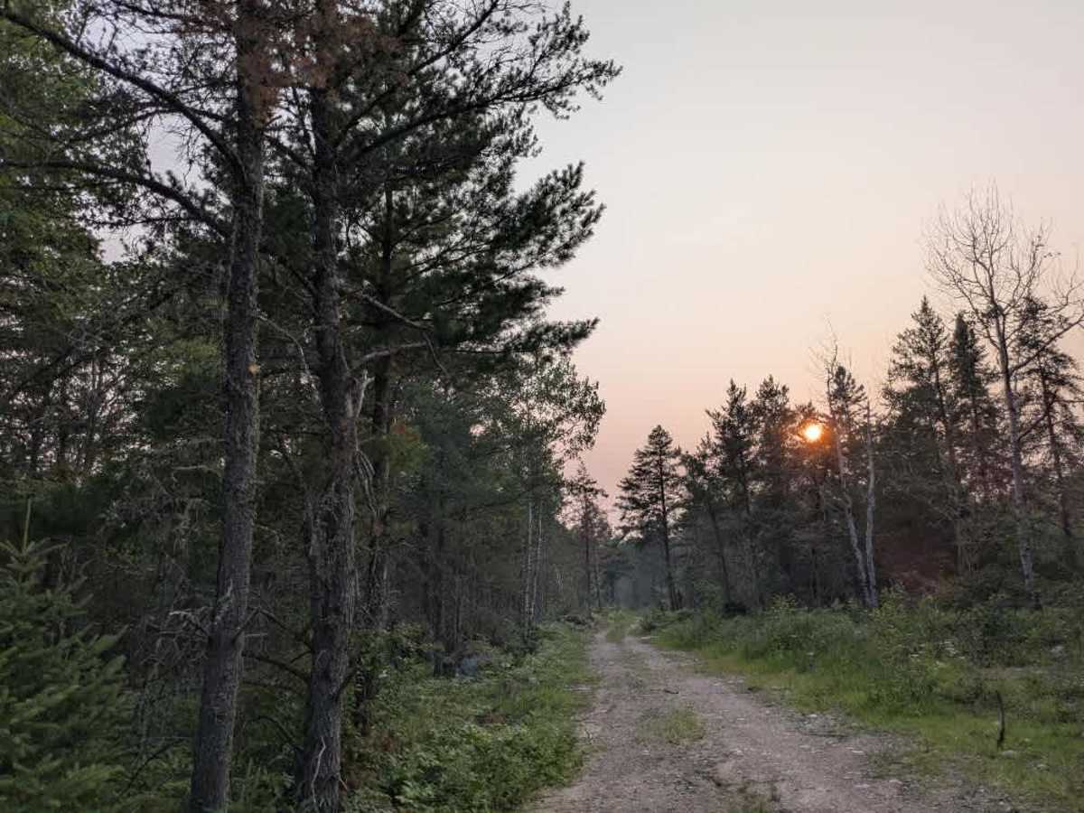 Maude Lake trail photo