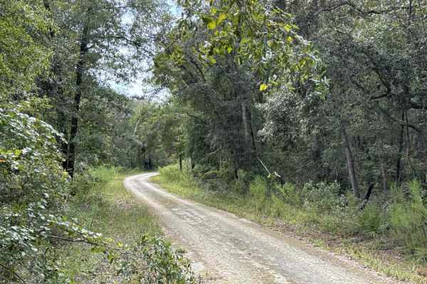 North Creek Road