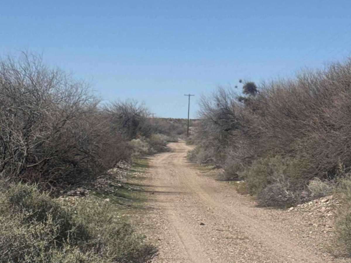 Fh1001 photo 2