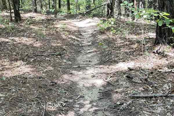 Sawmill Loop