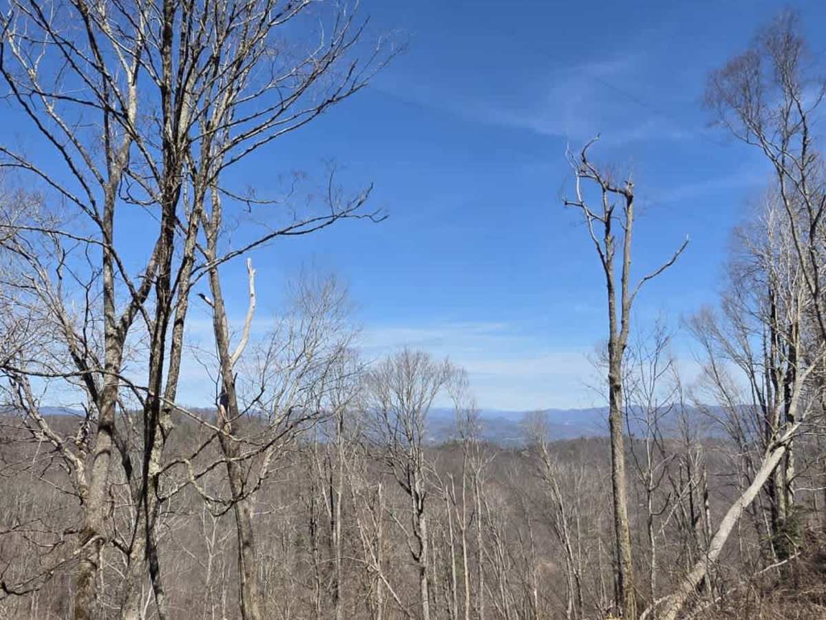Laurel Fork photo 6